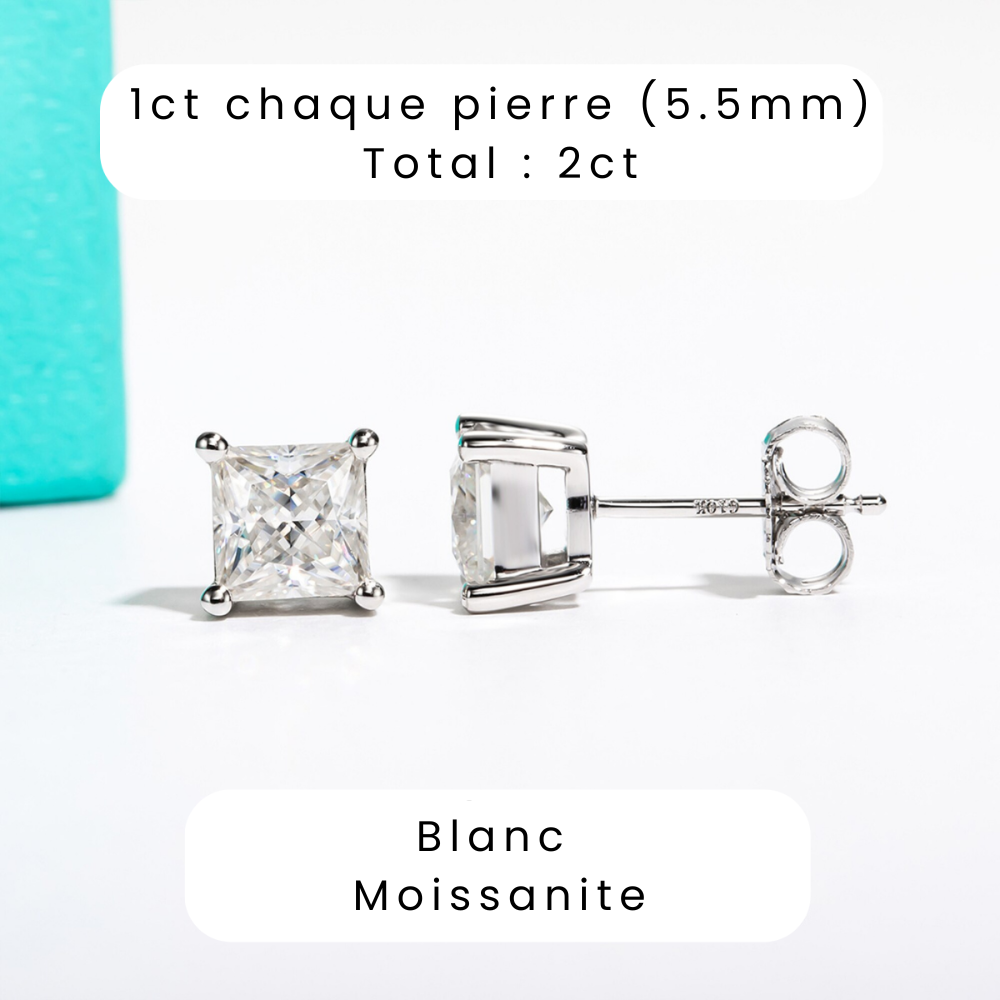 Boucle d'oreille Princesse Tige en Or 10k