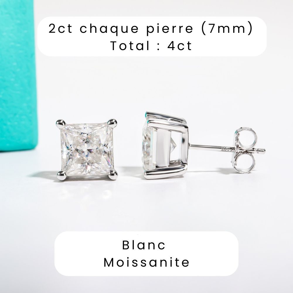 Boucle d'oreille Princesse Tige en Or 10k